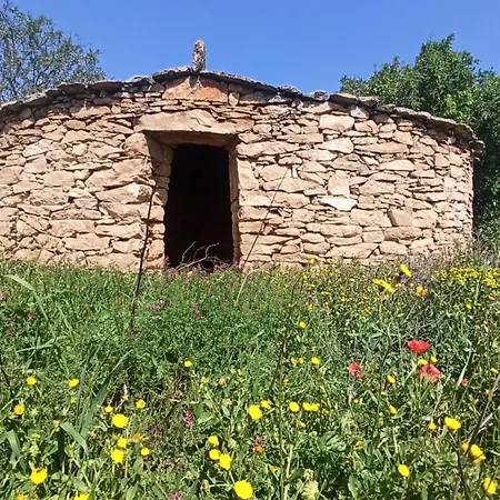 Nyaraló Masia Caselles *