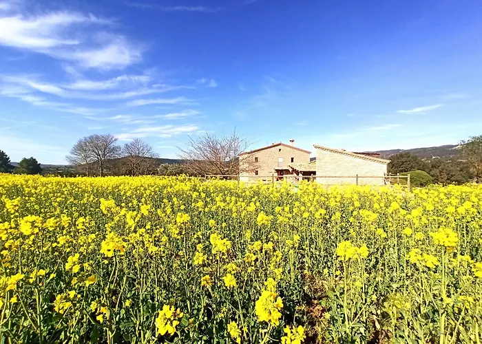 Masia Caselles בית נופש Fonollosa