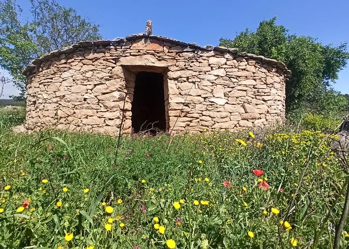 בית נופש Masia Caselles *